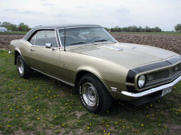 68Camaro.27.gif